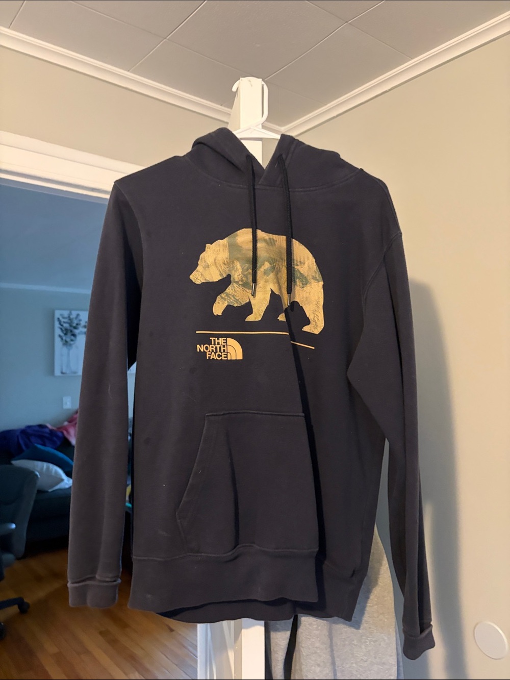 The North Face Black Hoodie with Gold Bear Graphic